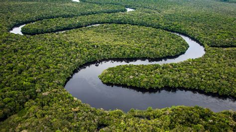 world   amazon safeguarding  earths largest rainforest