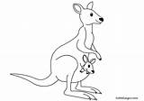 Canguro Coloring Disegni Cucciolo Colorare Kangaroo Wallaby Canguri Tuttodisegni Kangaroos Mammals Piccolo Ausmalen Canguros sketch template