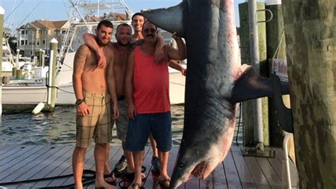 technicality    pound mako shark    largest  caught  nj