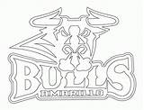 Bulls Pages Colorine Coloringhome sketch template