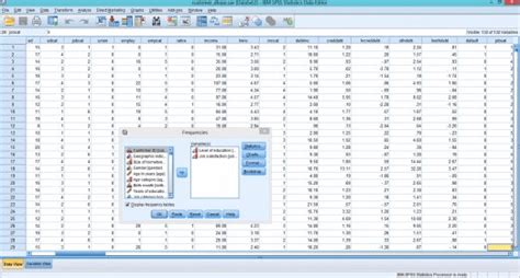 spss  software   sptaia