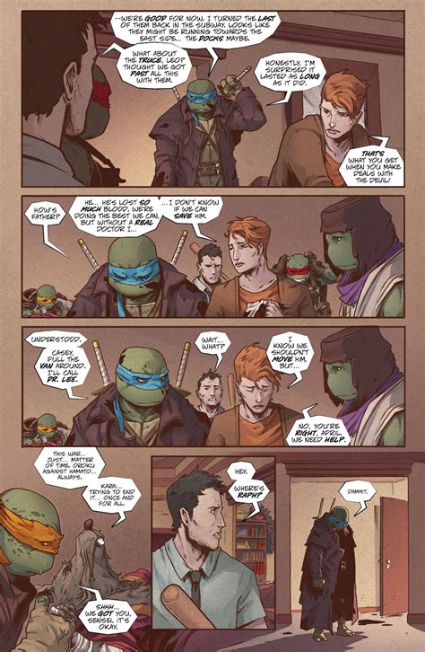 teenage mutant ninja turtles   ronin  read teenage mutant
