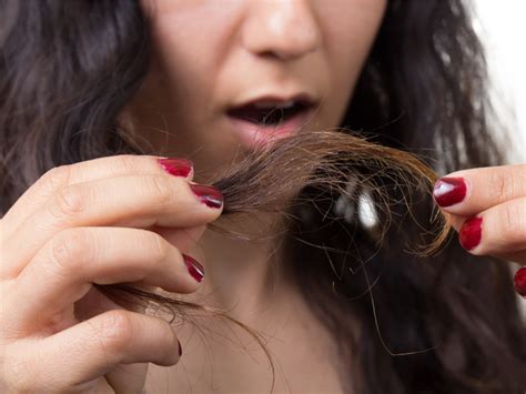 tips  people  extremely damaged hair boldskycom