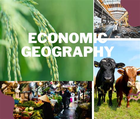 meaning  economic geography hubpages