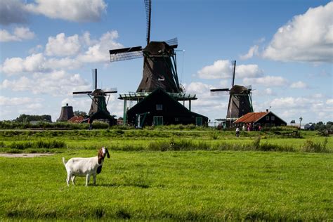 10 fun facts about the netherlands awesome amsterdam