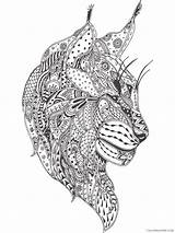 Zentangle Lynx sketch template
