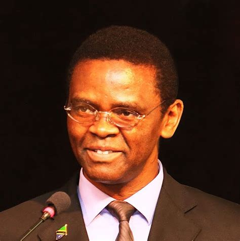 hemedi iddi mgaza tanzania foreign ministry official list
