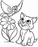 Kitty Pintar Gatos Esfinge Bubakids Mandala Vogel Desde sketch template