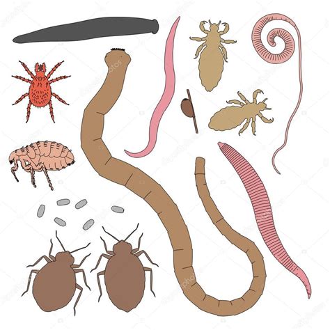 cartoon illustration  human parasites stock photo  drenderings