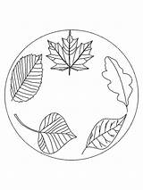 Kleurplaat Blaadjes Bladeren Kleurplaten Blatter Feuilles Coloriage Leaves Foglie Feuille Animaatjes Malvorlage Hugo Hugolescargot Stemmen Stimmen sketch template