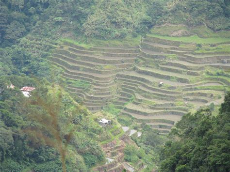 A Travel Guide To The Banaue Rice Terraces Flights