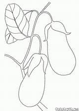 Berinjela Legumes Definir sketch template