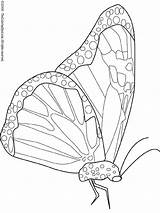 Monarch Butterfly Coloring Pages Colouring Printables Kids sketch template