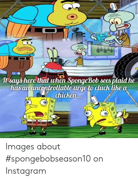28 Spongebob Memes Chicken Factory Memes
