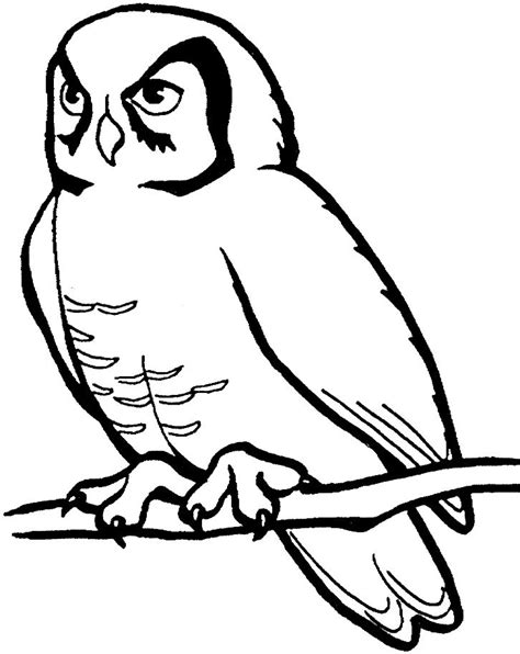 pin  kids coloring pages