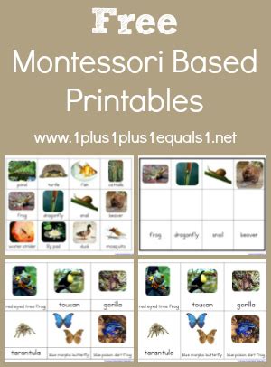images  montessori worksheets printable montessori bead bar