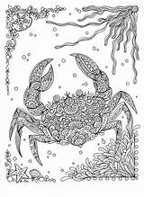 Coloring Pages Adult Sea Beach Colouring Under Book Color Books Printable Sheets Animal Zentangle Fanta Ocean Adventure Print Shells Cottage sketch template