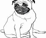 Pug Outline Drawing Clipartmag sketch template