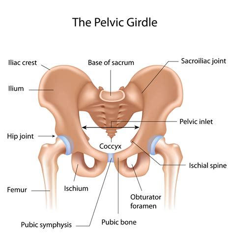 Sacroiliac Joint Pain Singapore Physiotherapists Provide