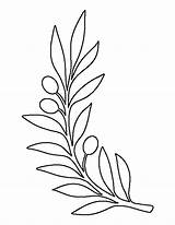 Template Olive Branch Pattern Printable Coloring Leaf Outline Tree Stencils Drawing Leaves Stencil Patterns Patternuniverse Templates Crafts Flower Paper Use sketch template
