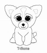 Ty Coloring Beanie Pages Boo sketch template