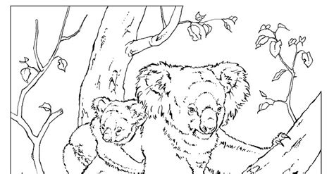 national geographic animal pages coloring pages