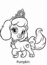 Mascota Pumpkin Copia Dibujosparacolorear Princesas Mascotas Princesa Perro Buscar Littlest sketch template