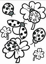 Coloring Ladybug Pages Printable Lady Bug Sheet Kids Getcolorings Color Ladybugs Getdrawings sketch template