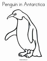 Penguin Antarctica Antartica Pinguin Adelie Penguins Emperor Twisty Twistynoodle sketch template