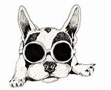 Draw Frenchie sketch template