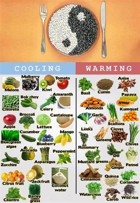cooling warming foods chart tcm tabelle alimentari cibo