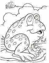 Ranita Pasar Viendo Estanque Moscas Frogs Toad sketch template