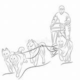 Sled Slitta Cani Pulling Tirano Disegnata Getrokken Slee Honden Trekken Sleigh sketch template