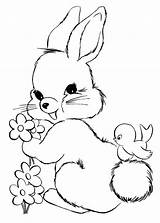 Conigli Kelinci Mewarnai Pianetabambini Coniglio Disegnare Coniglietto Coniglietti Stampare Lucu Pintarmewarnai Pasquali Binatang Fiori Versione sketch template
