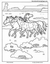 Mammals Realistic Pferde Katzen Pferd Printables Wildpferde sketch template