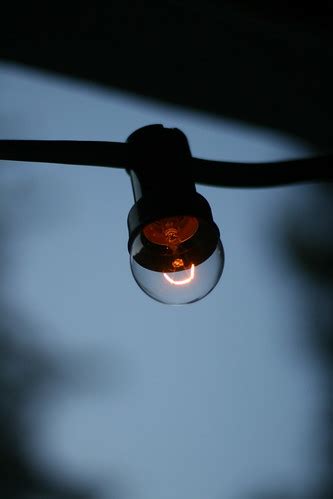 dim light bulb    light bulbs  christmas lights jan erik finnberg flickr
