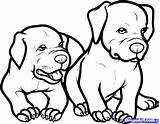 Pitbull Coloring Pages Rottweiler Dog Step Baby Dogs Pitbulls Drawing Printable Draw Puppy Color Kids Pit Cute Animals Book Elegant sketch template