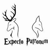 Patronum Expecto Raamfolie Omschrijving sketch template