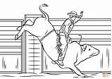 Rodeo Toros Monta Jinete Brahman Bulls Designlooter Bucking Supercoloring Western Cowboys Desde Coloring sketch template