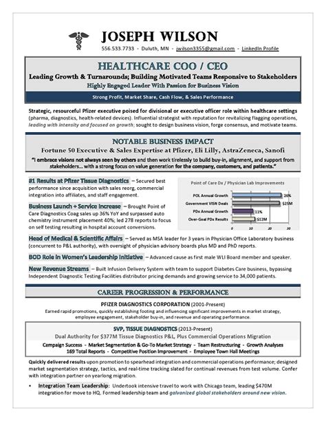 healthcare  ceo resume premium executive resume writing services