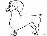 Dachshund Coloring Colorare Disegni Bassotto Kleurplaat Weiner Cani Long Schattige Hond Dieren Teckel Cartonionline Moeilijk sketch template