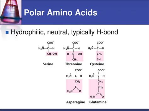 chapter  amino acids peptides  proteins powerpoint