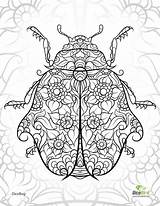 Coloring Pages Ladybug Adult Printable Zentangle Adults Beetle Colouring Color Abstract Book Animals Popular Comments sketch template