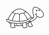 Schildpad Kleurplaat Turtle sketch template
