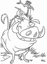Lion King Coloring Pages Timon Pumbaa sketch template