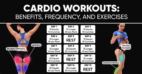 cardio workouts benefits frequency  exercises weight loss blog betterme