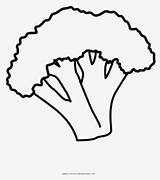 Broccoli Clipartkey 42kb sketch template