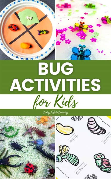bug activities  kids