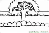 Coloring Pages Background Field Tree Set Treehut Olive Friday Categories Clipart July Posted Am 2010 Views sketch template