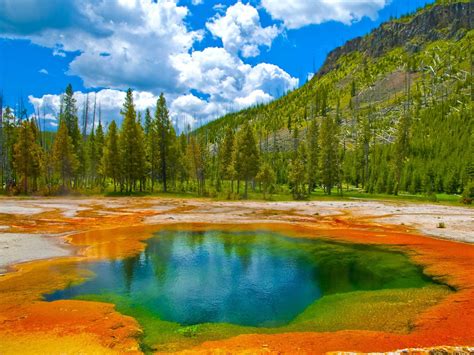 yellowstone national park rattled  largest earthquake   years business insider